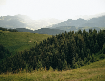 nature